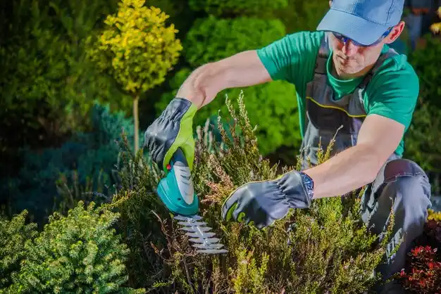 landscaping services Manorhaven